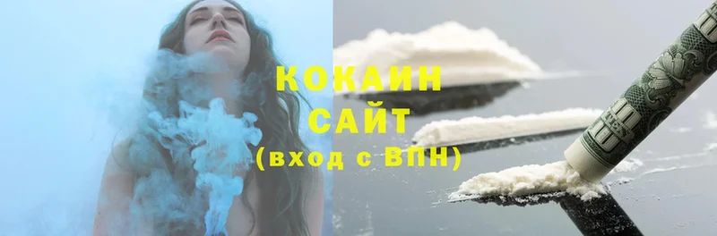 Cocaine FishScale  hydra как войти  Северская 