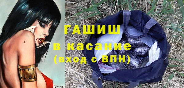 гидра Михайловка