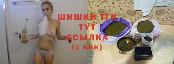 твердый Михайлов