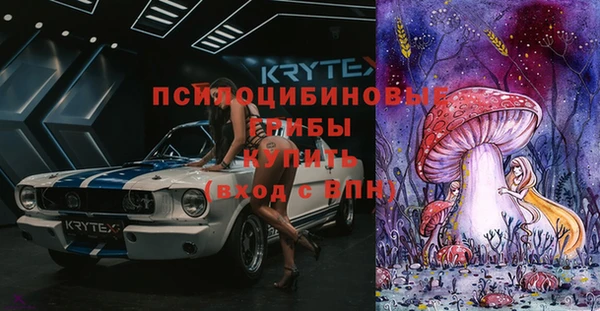 гидра Михайловка
