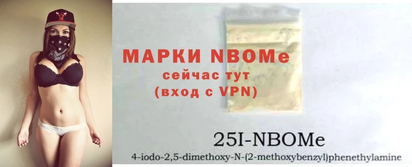гидра Михайловка
