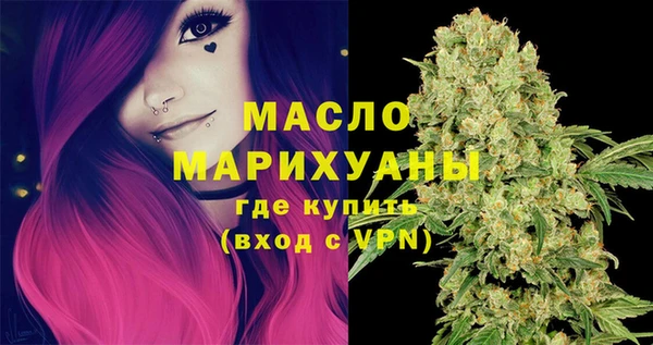 гидра Михайловка