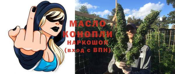 твердый Михайлов
