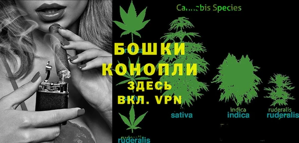гидра Михайловка