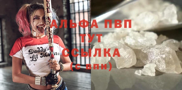 гидра Михайловка
