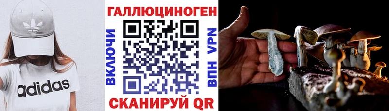 площадка состав  блэк спрут   Северская  Галлюциногенные грибы Magic Shrooms 